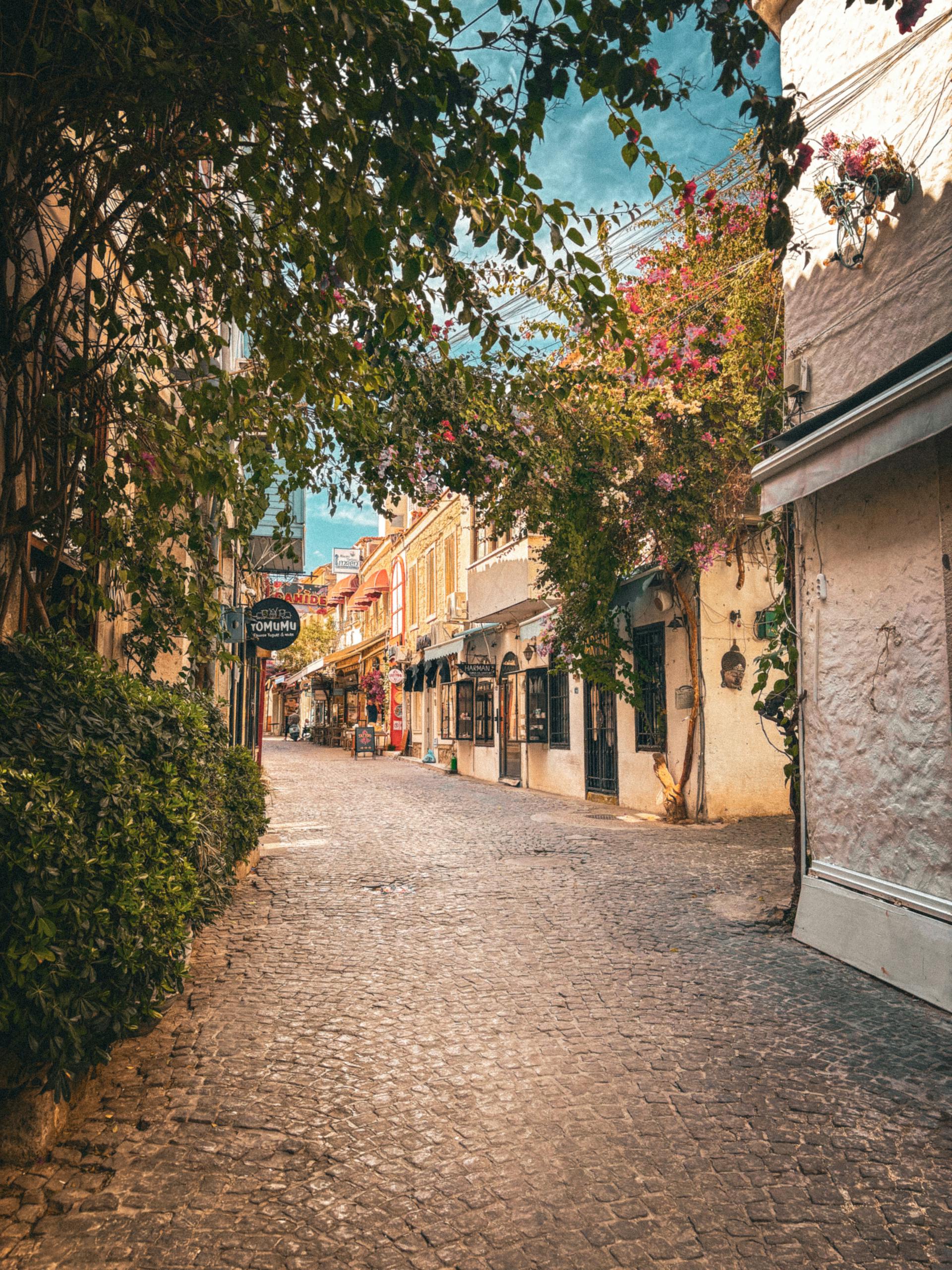 Picturesque cobblestone street lined with rustic shops and lush greenery in a charming European town.